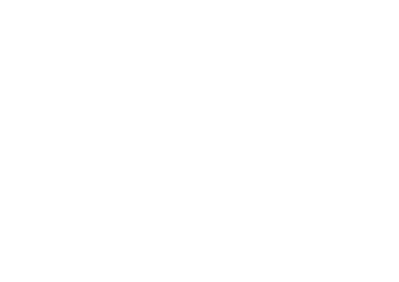 롯데정밀화학
